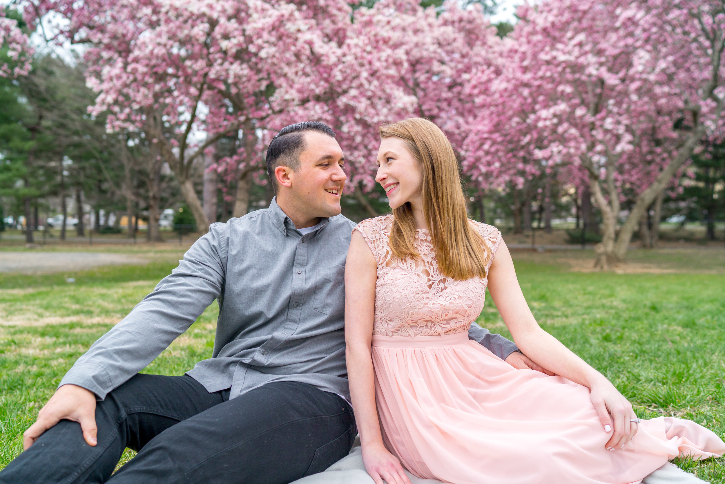 Washington DC engagement session in cherry blossoms on a picnic blanket