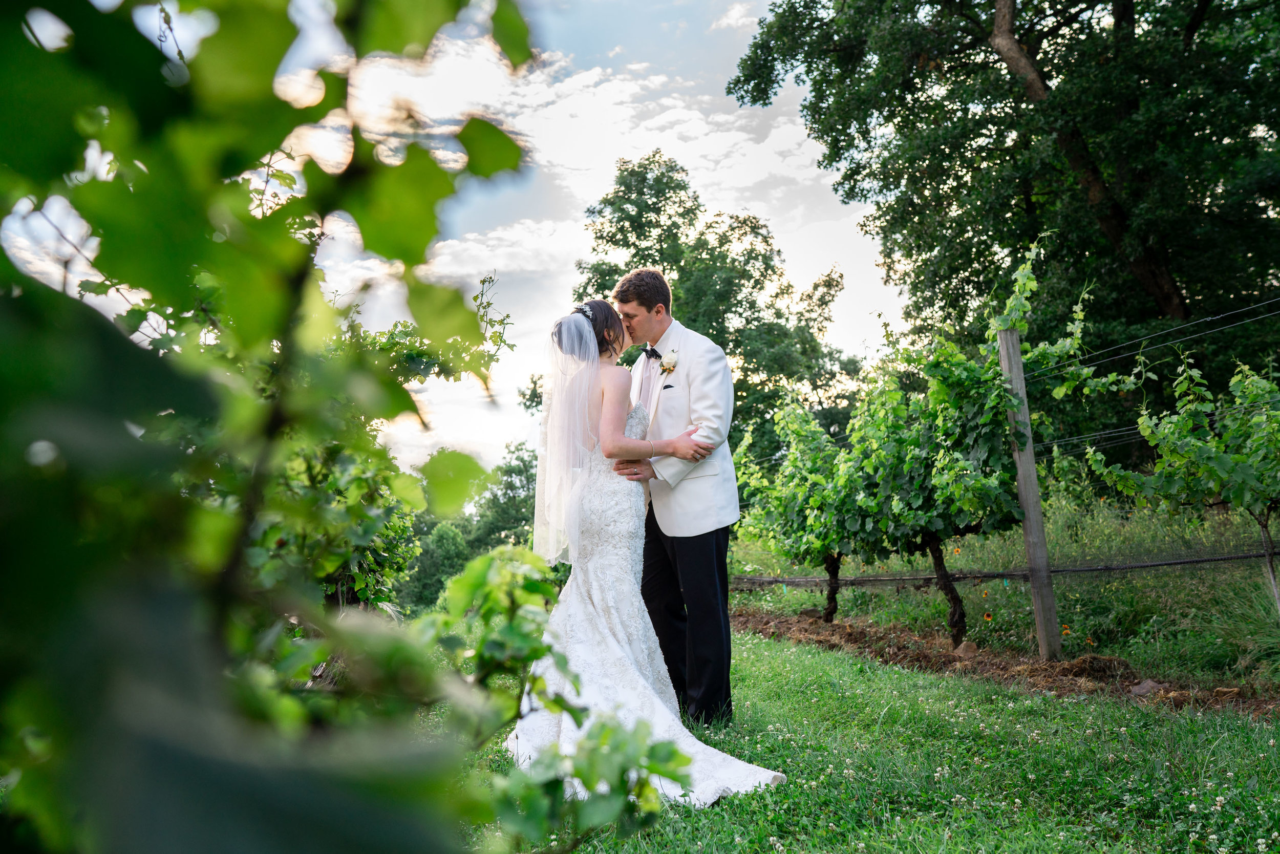 Bride and groom kissing in a dramatic vineyard with sunset at Harvest House
