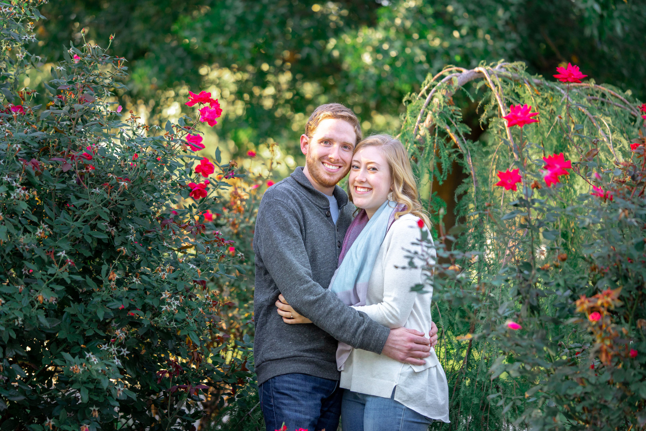 Engagement photos in the rose bushes at Federal Hill Park in Baltimore