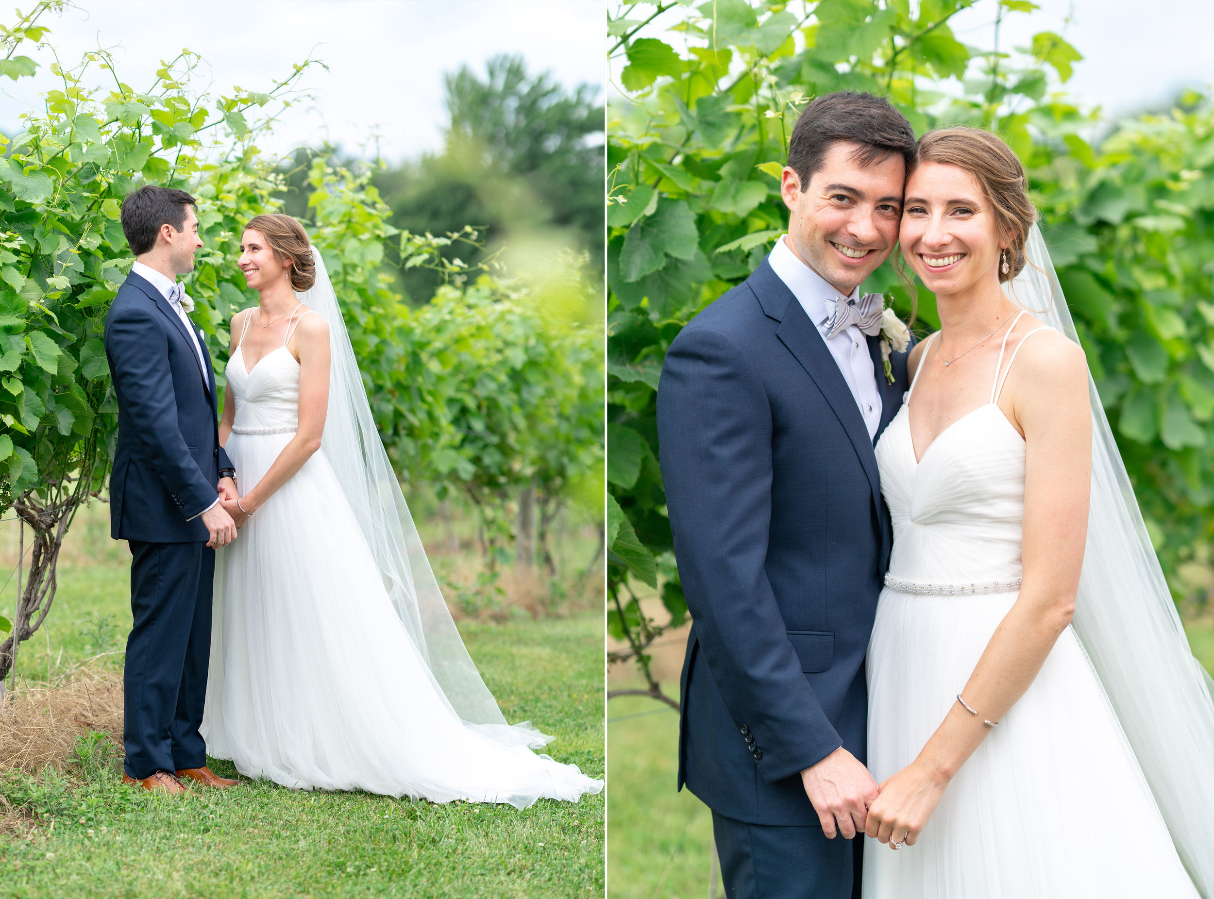 Bride and groom in maryland vineyard wedding venue Springfield Manor Winery and Distillery