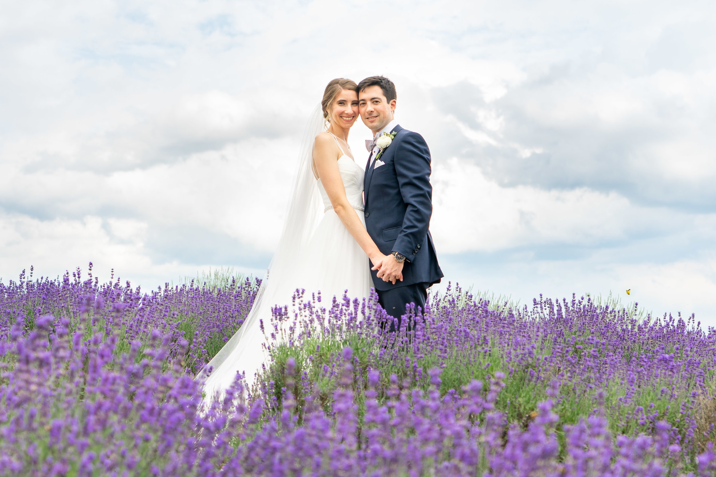 Bride and groom posing in lavender field at Springfield Manor Winery and Distillery