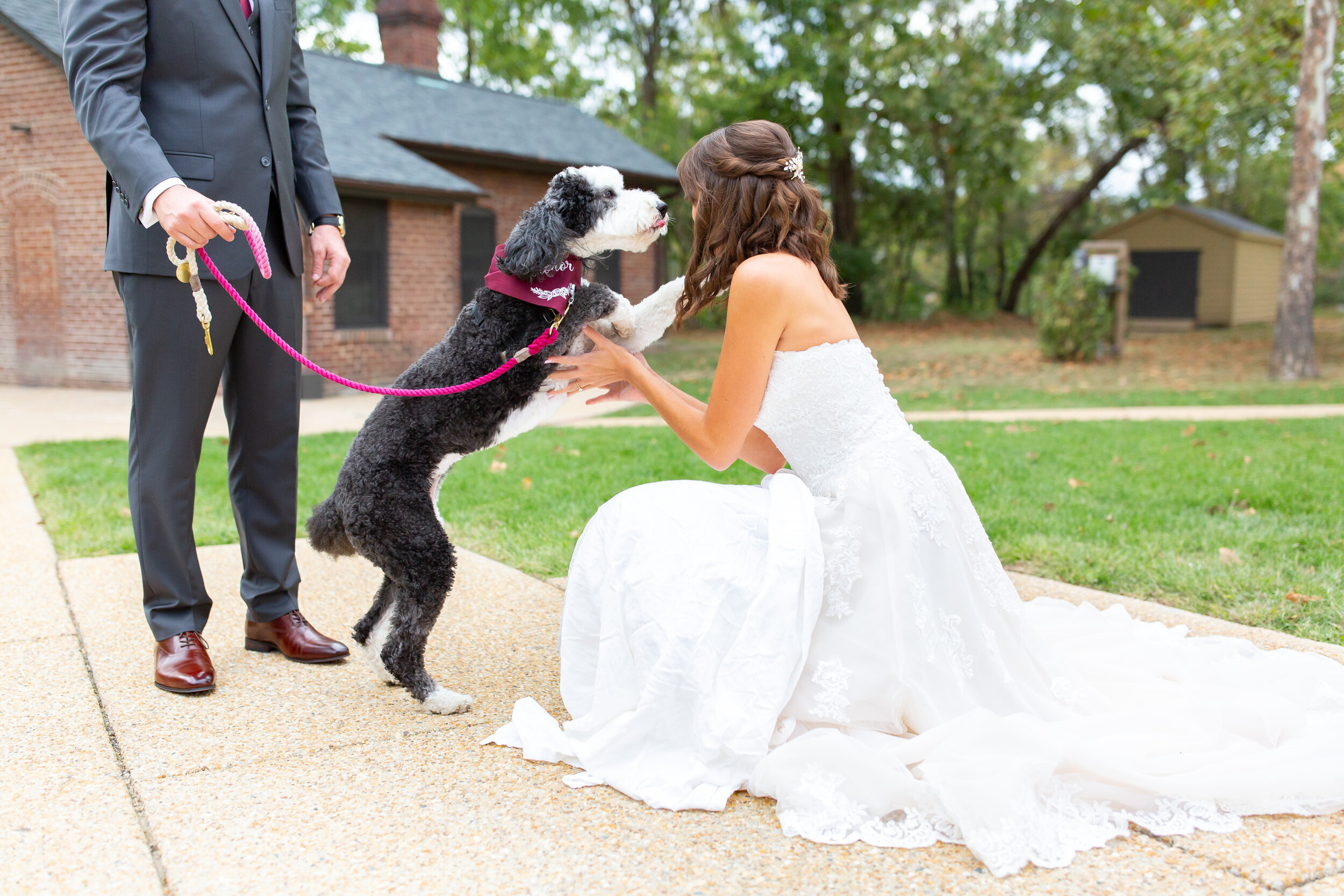 Bride in Stella York 6776 having a first look with her sheepadoodle