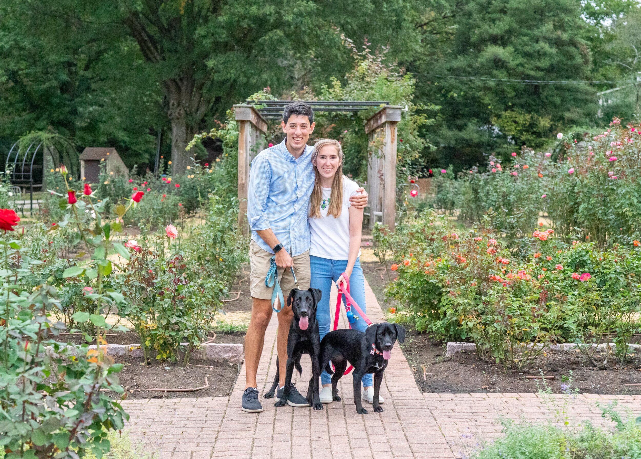 Engagement session at Bon Air Memorial Rose Garden with black dogs