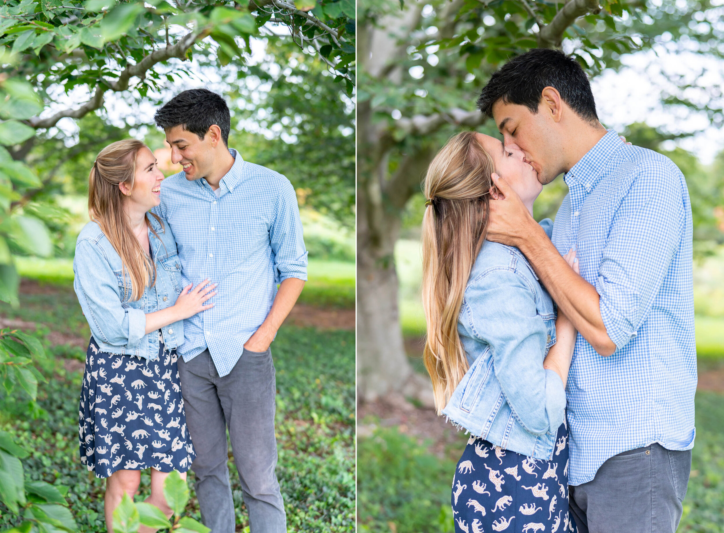 Engaged couple kissing under romantic tree at National Arboretum