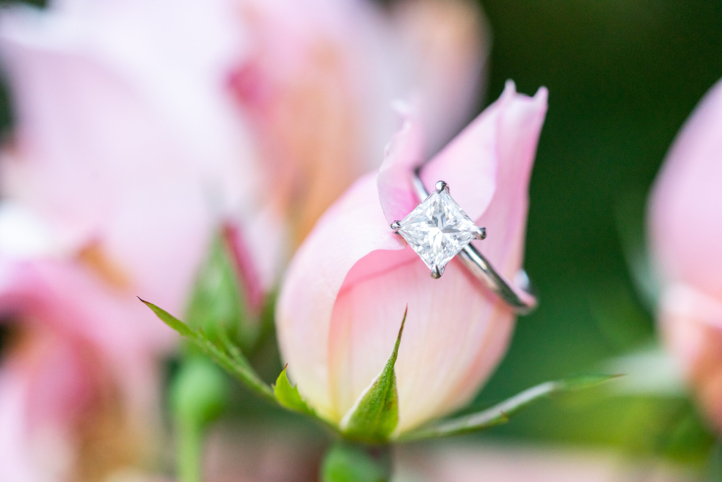 Square princess cut engagement ring with pink roses