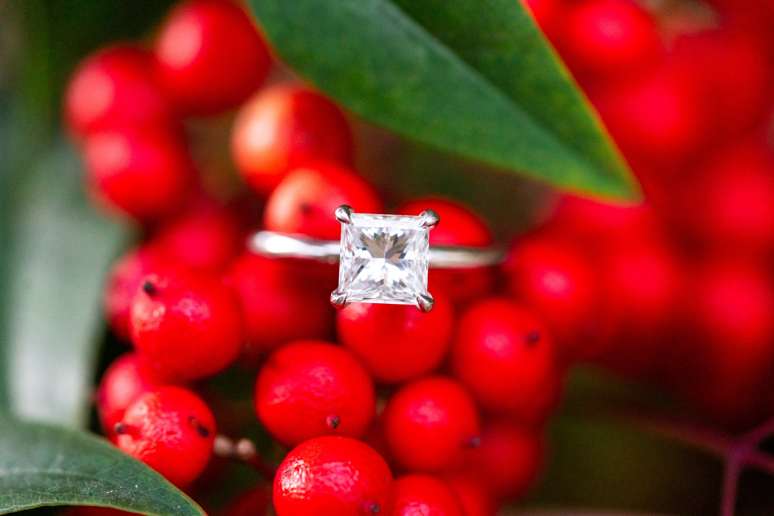 Square princess cut engagement ring in Christmas holly berries
