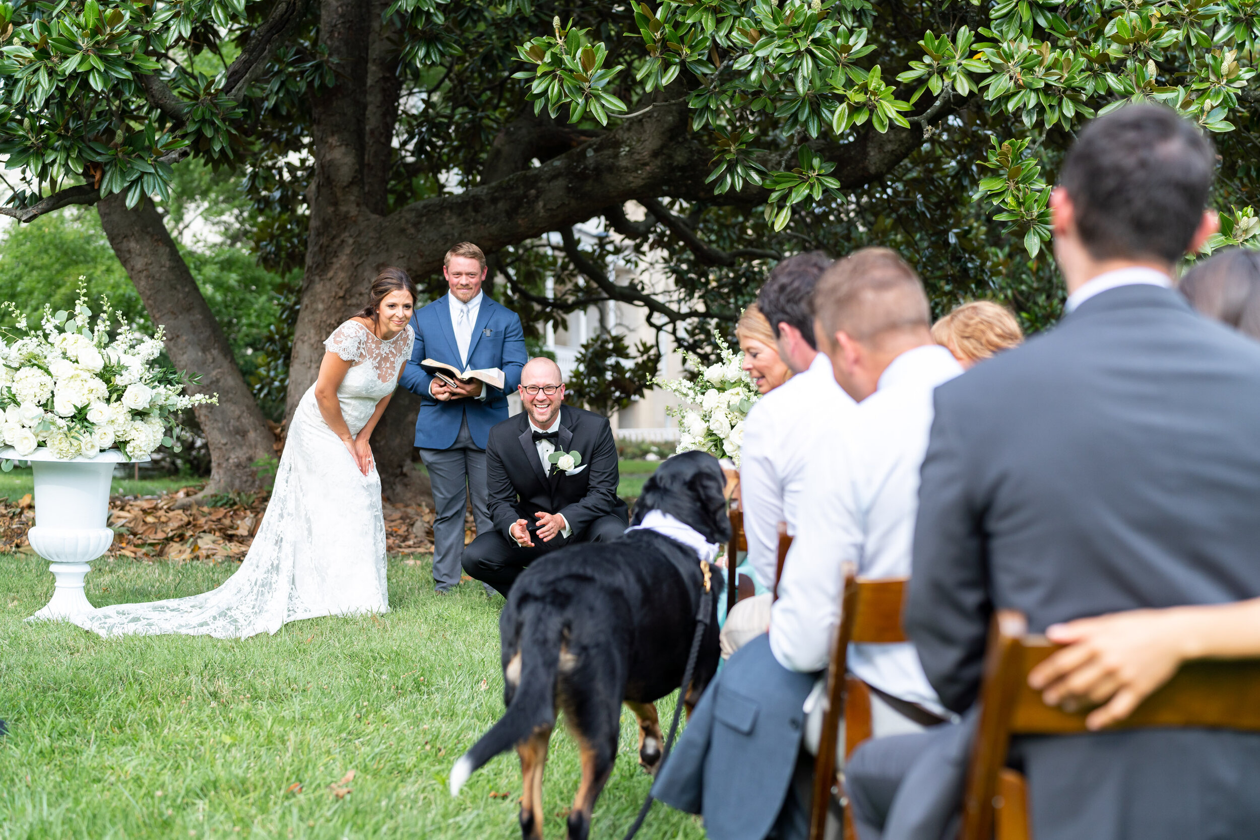 Summer wedding ceremony photos at Lincolns Cottage under magnolia tree