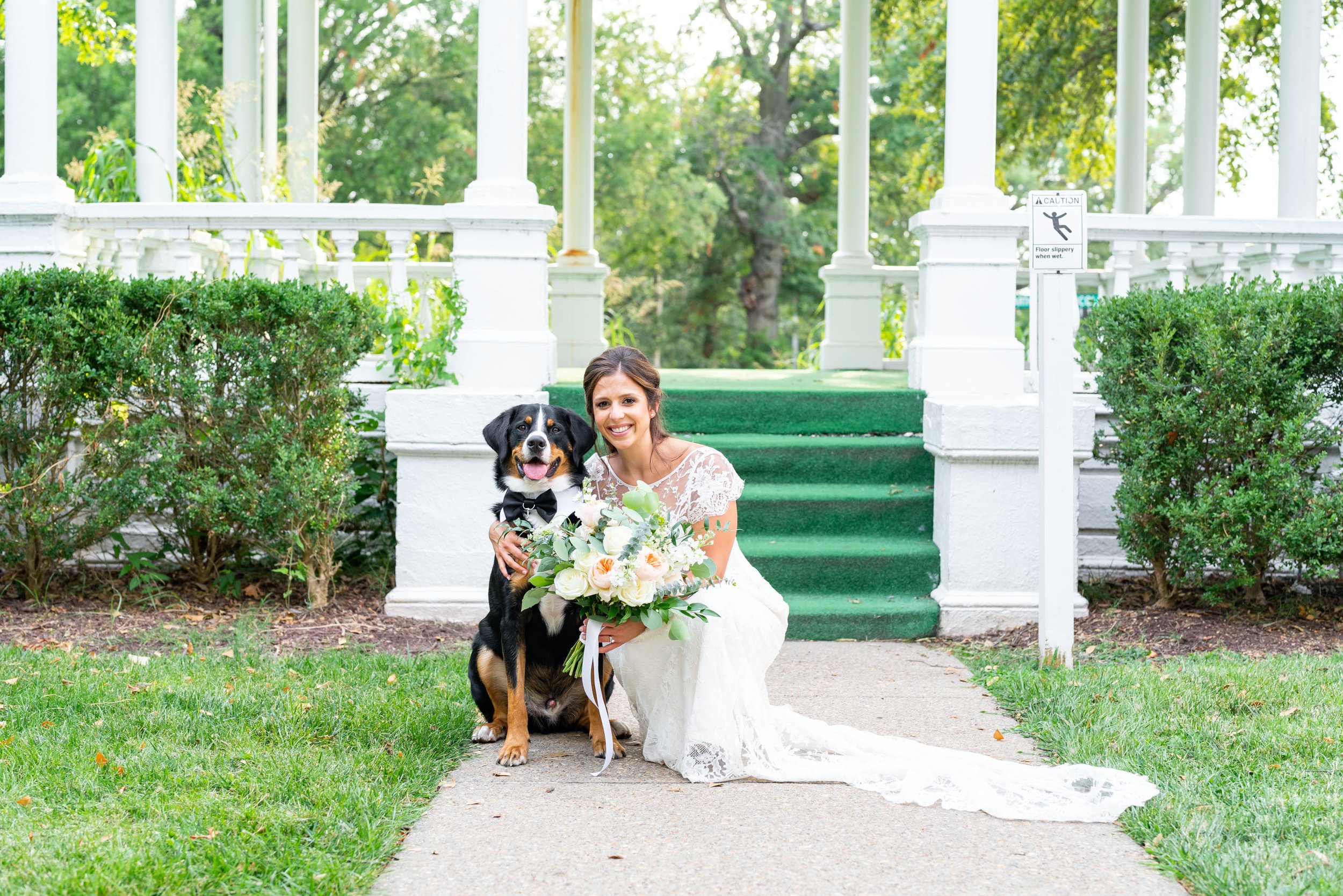 Bride crouching with Bernese mountain dog at Presidents Lincolns Cottage