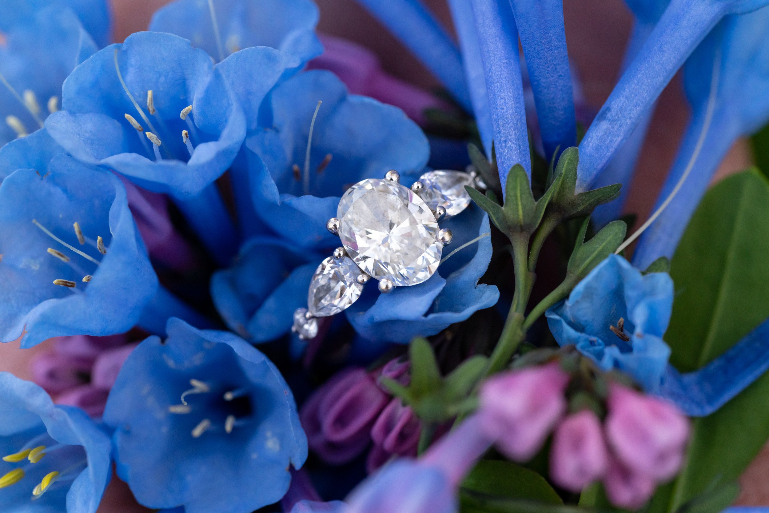 Flower engagement photos in blue and purple flowers at Founder's Park