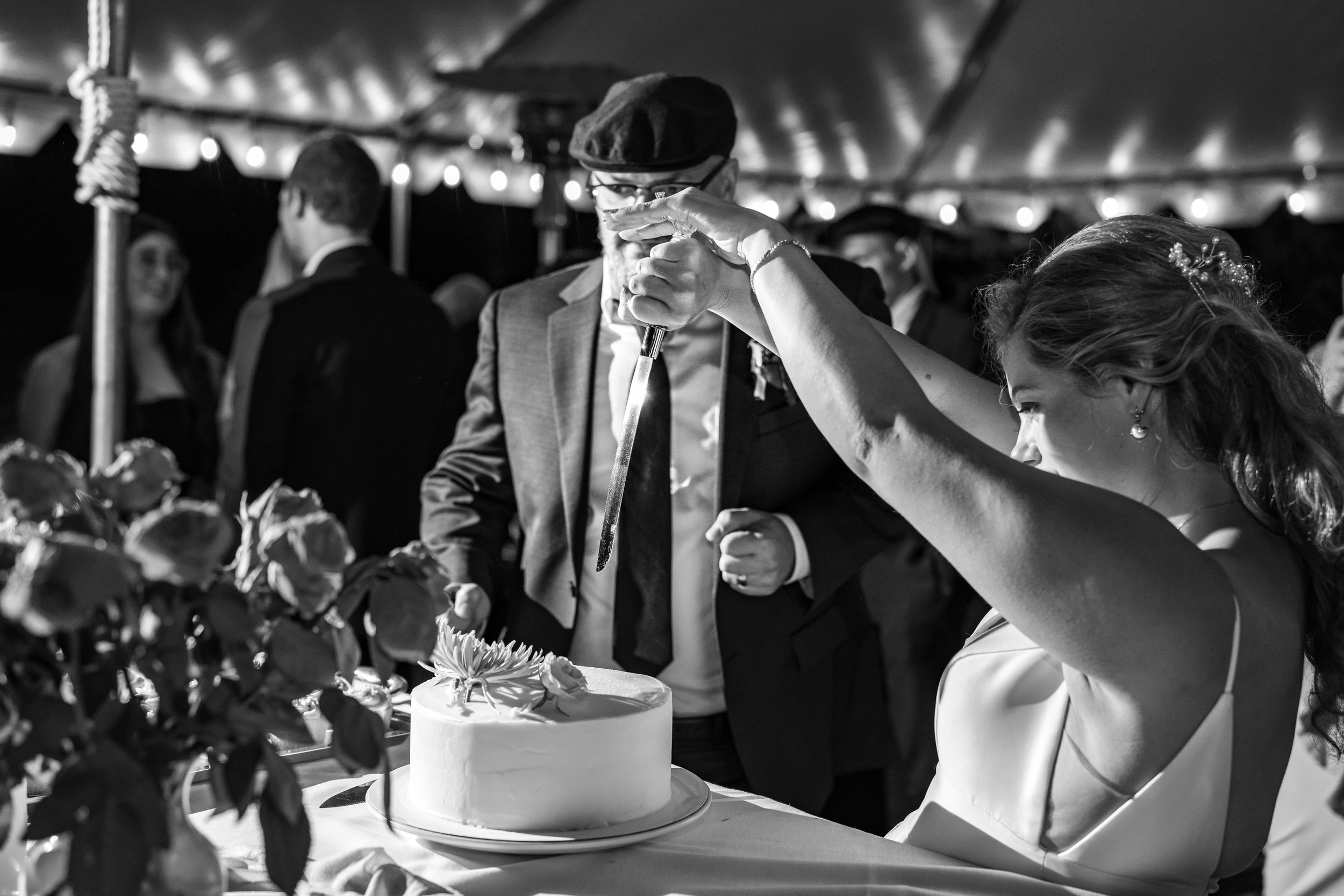 bride stabs cake at fun wedding in Washington DC