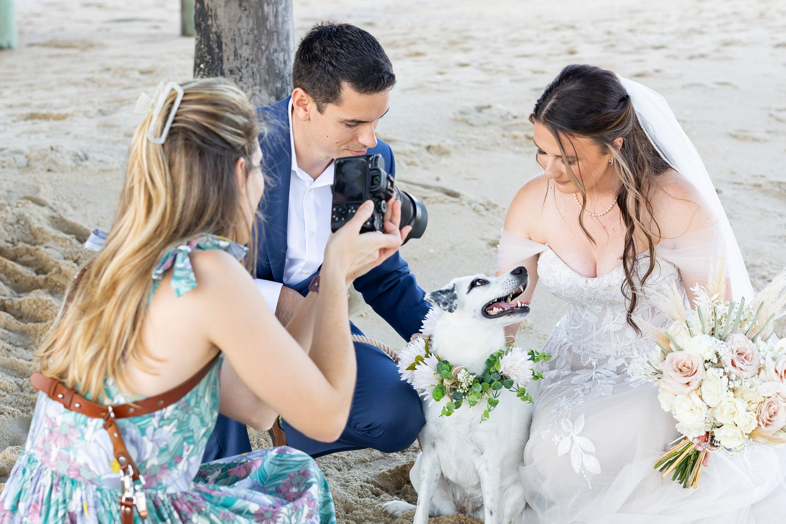 Bride and groom's dog at Kitty Hawk Pier wedding photos on beach