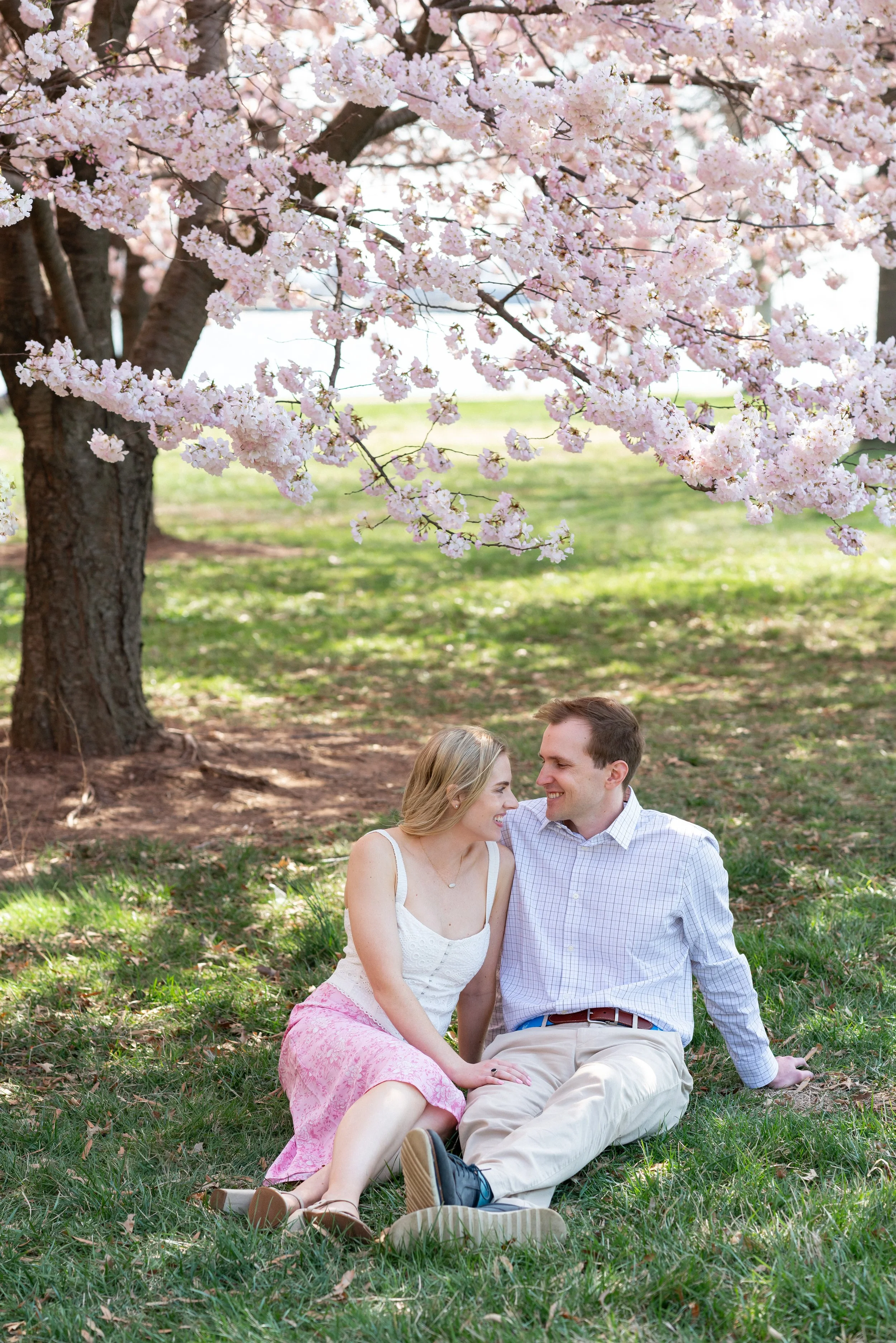 classic and timeless engagement photos in the DC cherry blossoms at hain's point