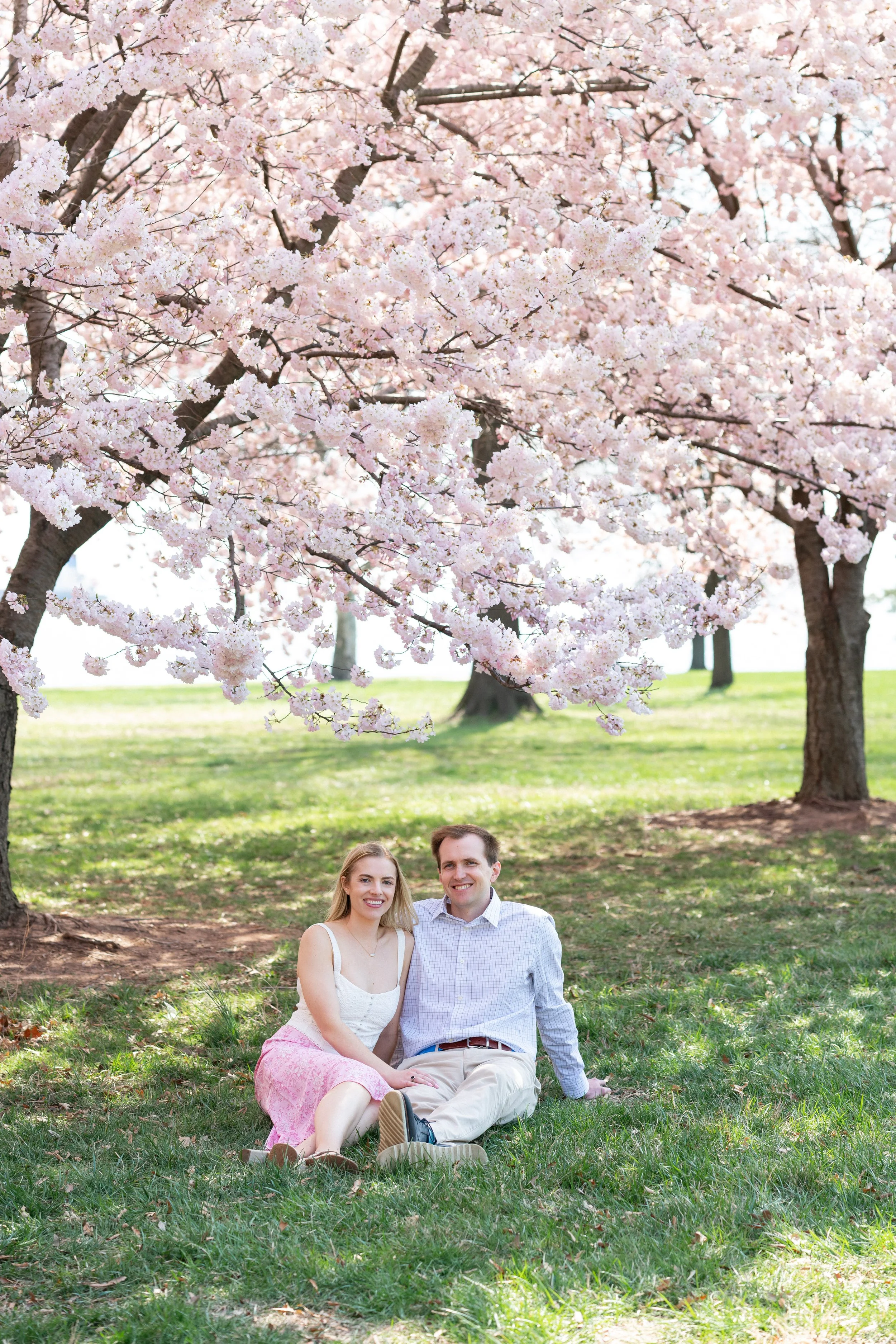 Romantic Washington DC cherry blossom engagement session