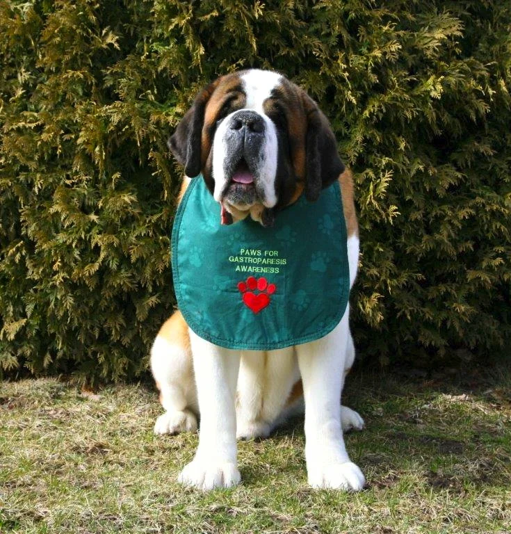 Kimsdogtospreadawareness.jpg
