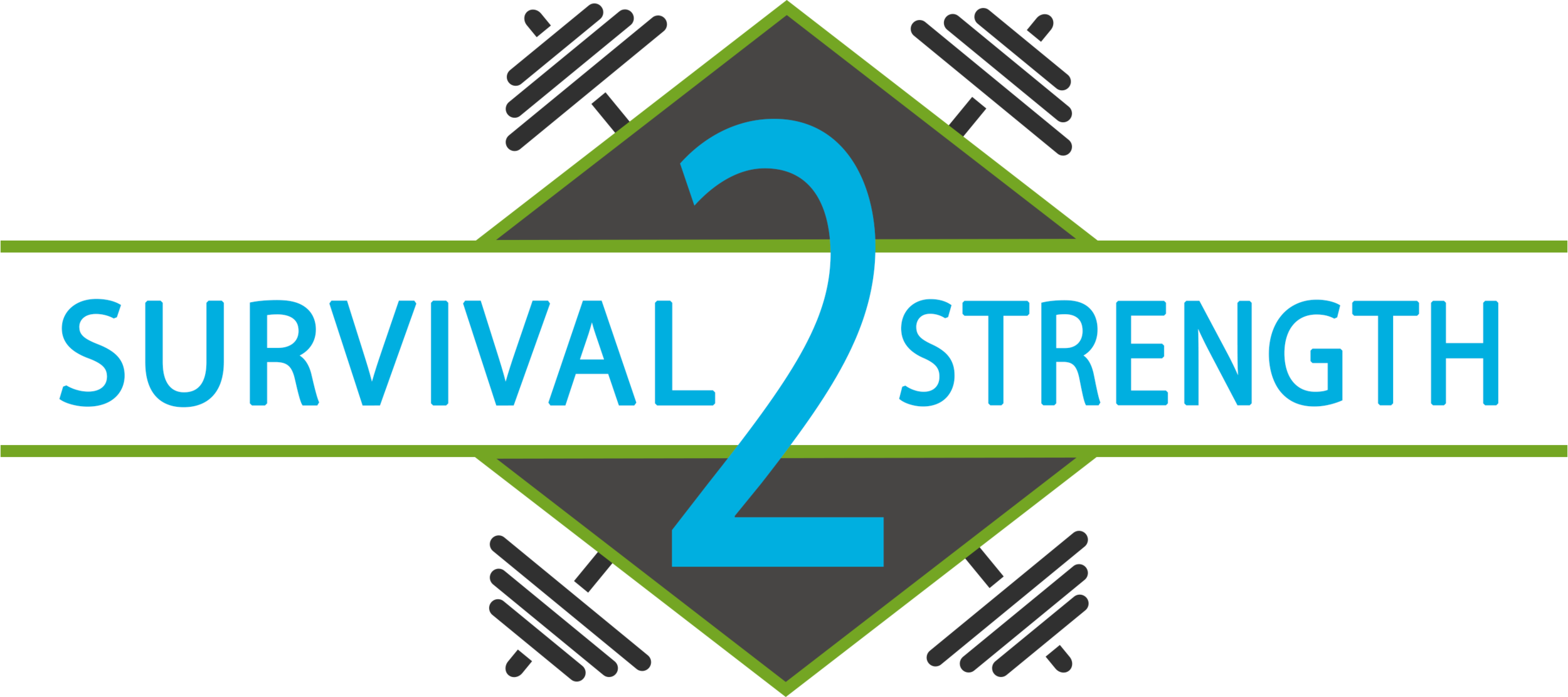 s2s_logo_final_v3.png