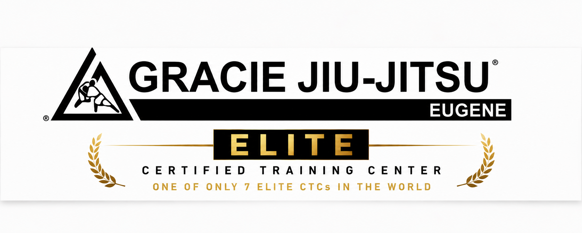 Martial Arts in Eugene, Oregon