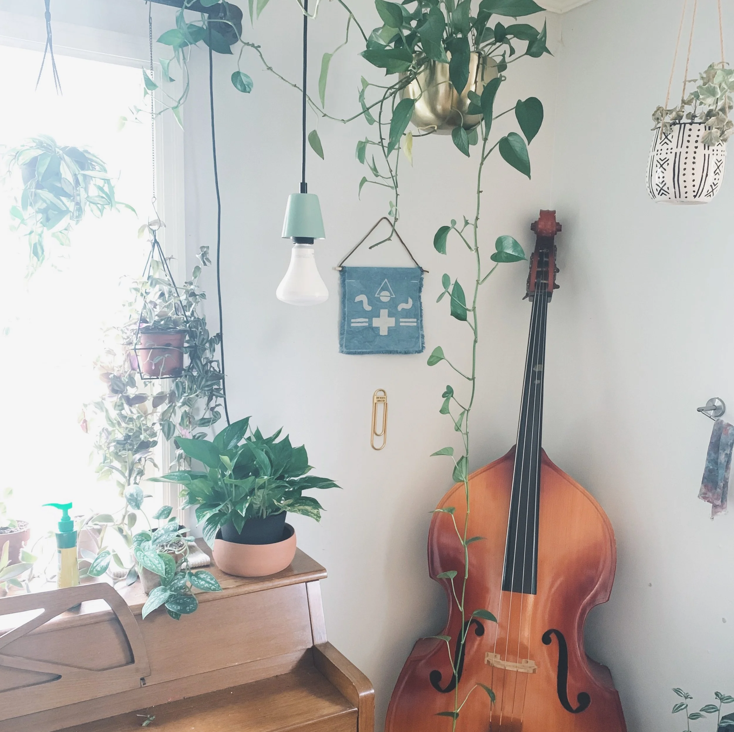 2019-02-17 10.29.01.jpg