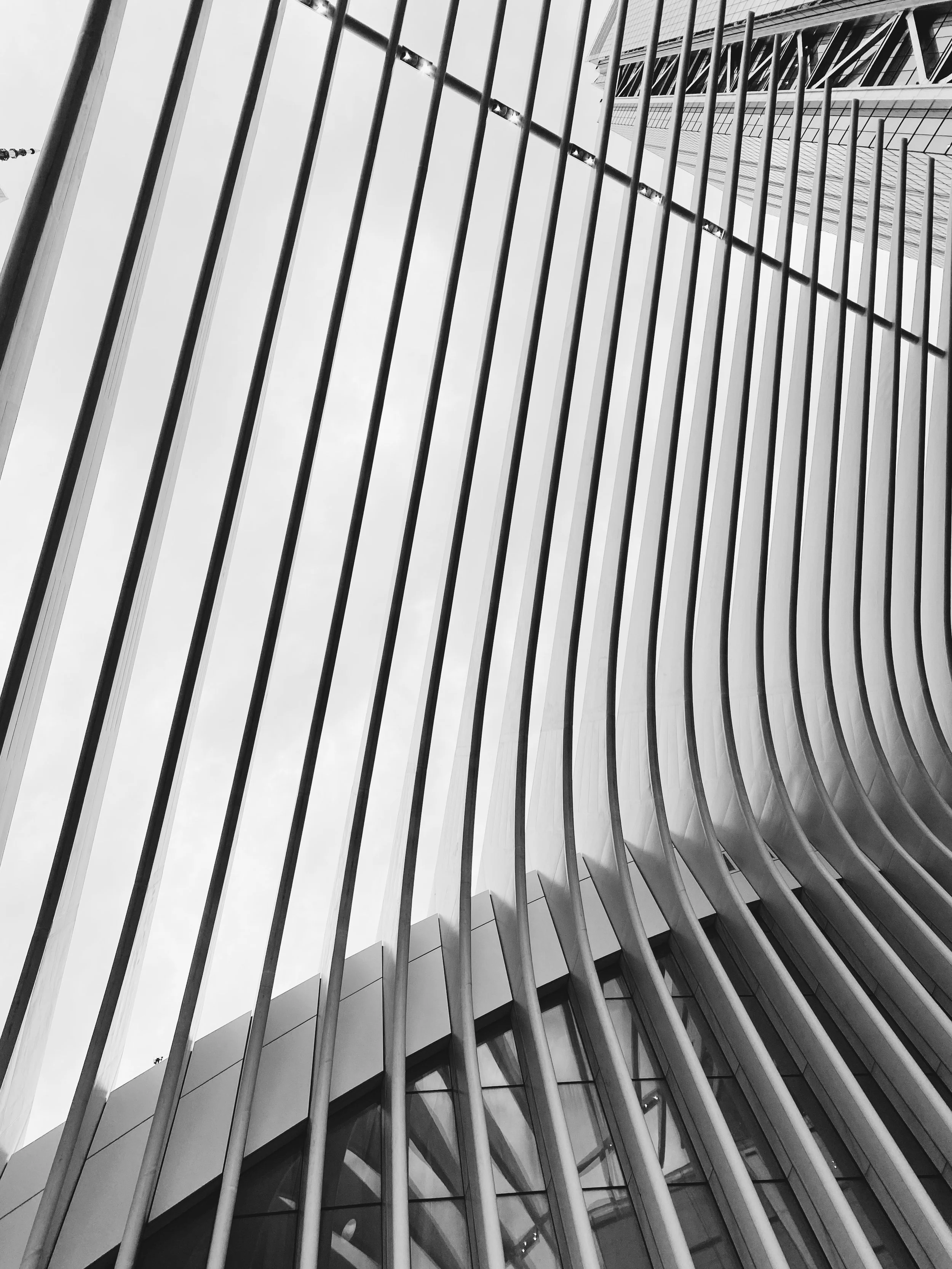 5B12CBE6-517C-4E9D-81B3-804592472DE5_1_201_a.jpeg