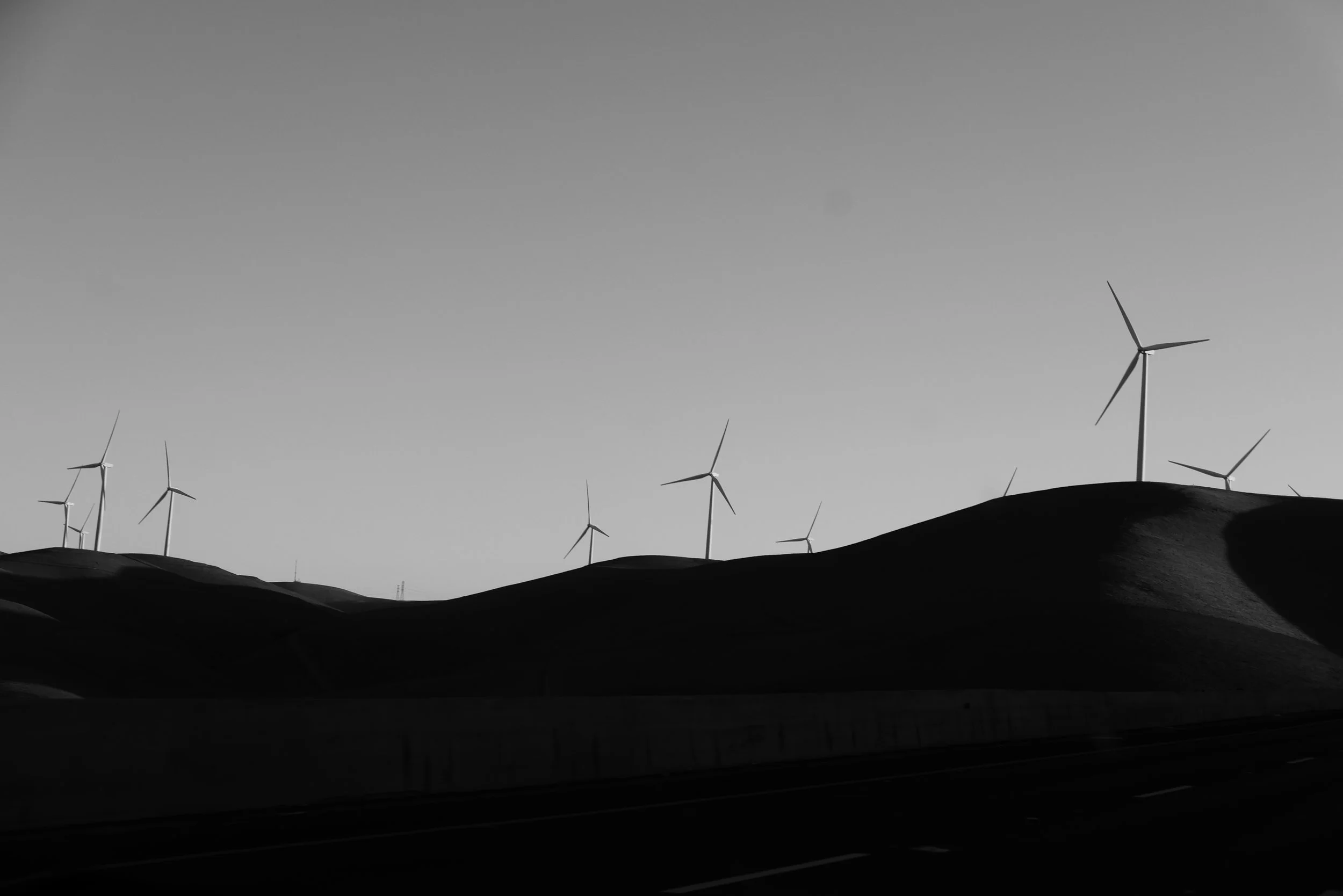 DO01034121.JPG