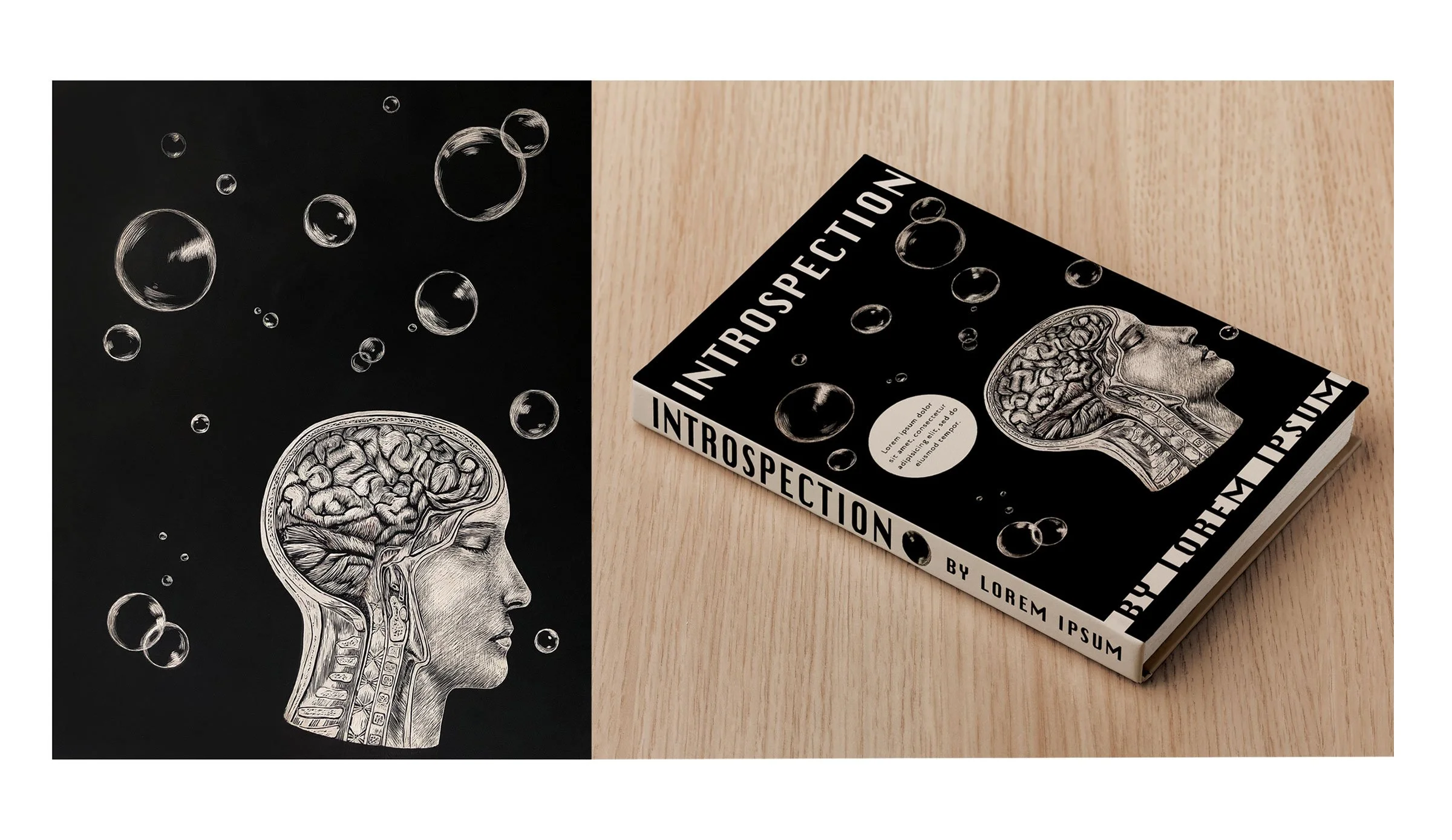Anatomical Scratchboard Illustration - Book Cover Concept