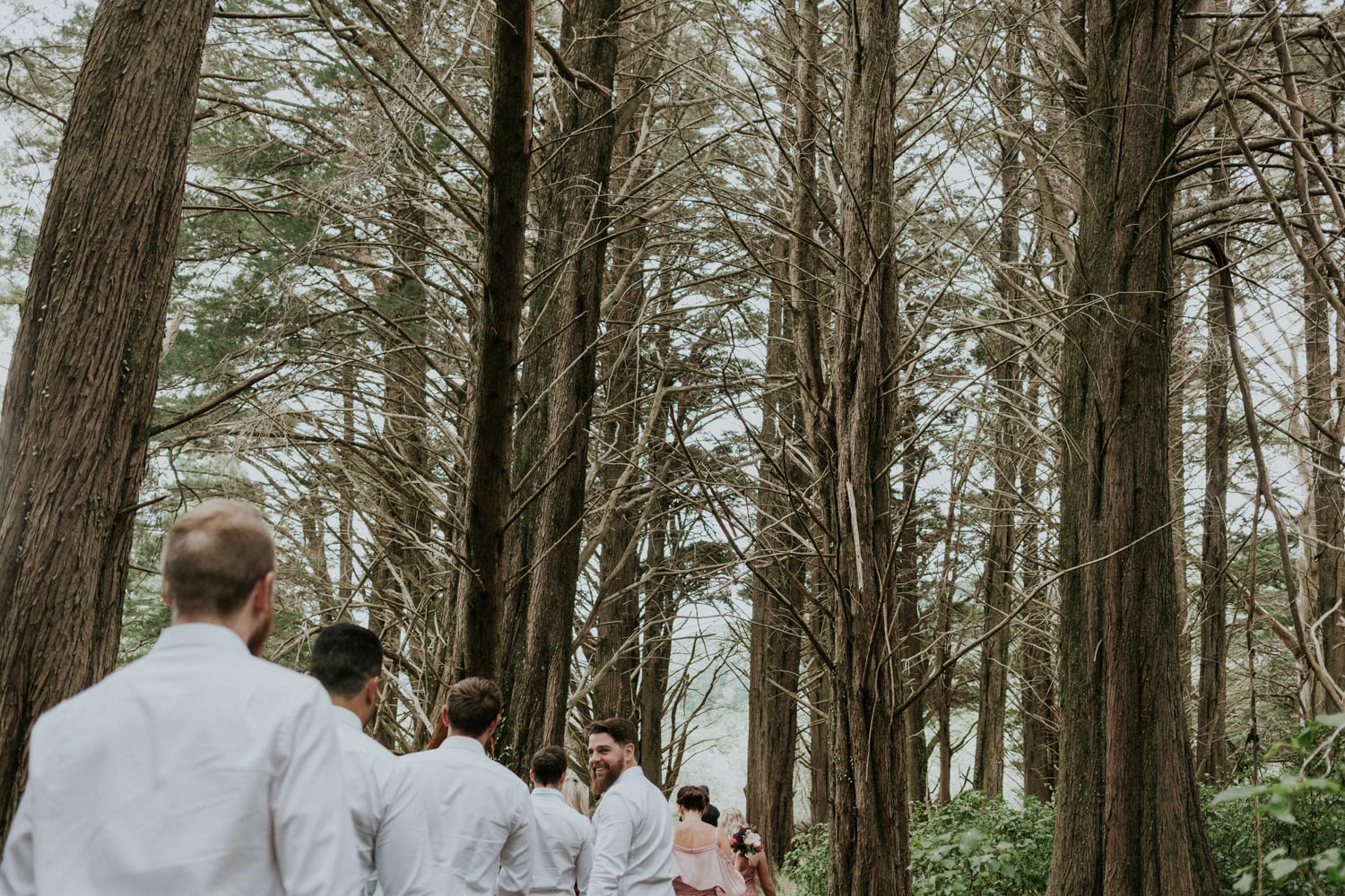 Bridal party walking through the pine forest