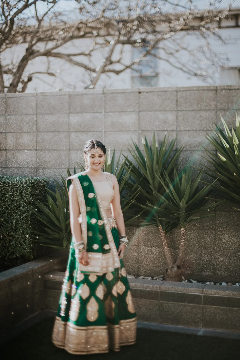 Indian Sari