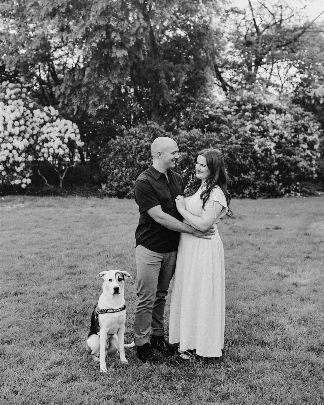 An engagement session for Sage and Chris with Georgie (who had lots of fun at the park)!

Quick update on spaces for portrait and family sessions. My next available dates will be from the 19th Jan. Please get in touch soon as this time of get gets ve