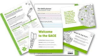Introduction to SACE