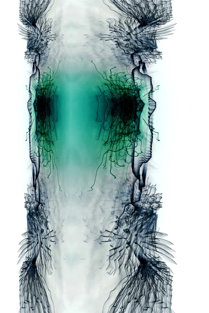 'Impression No.2' c-type print on photographic paper year: 2013 size: 700 x 1000 mm ( image ) limited edition 7 pieces