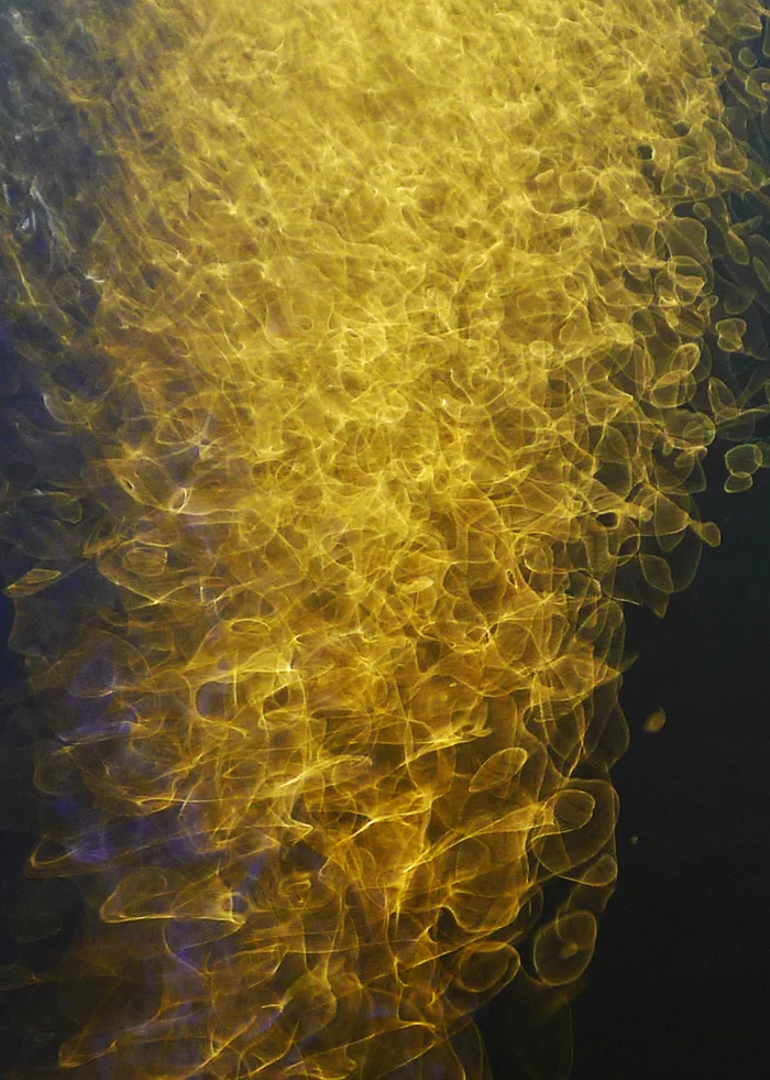 'Dancing in the darkness' c-type print on photographic paper year: 2011 size: 378 x 270 mm ( image ) limited edition 5 pieces finalist in Waikato River Art Award 2014, Foundation Bar, Te Awa, NZ #1 SOLD, collected by private collector, Cambridge, NZ #2-#5 available