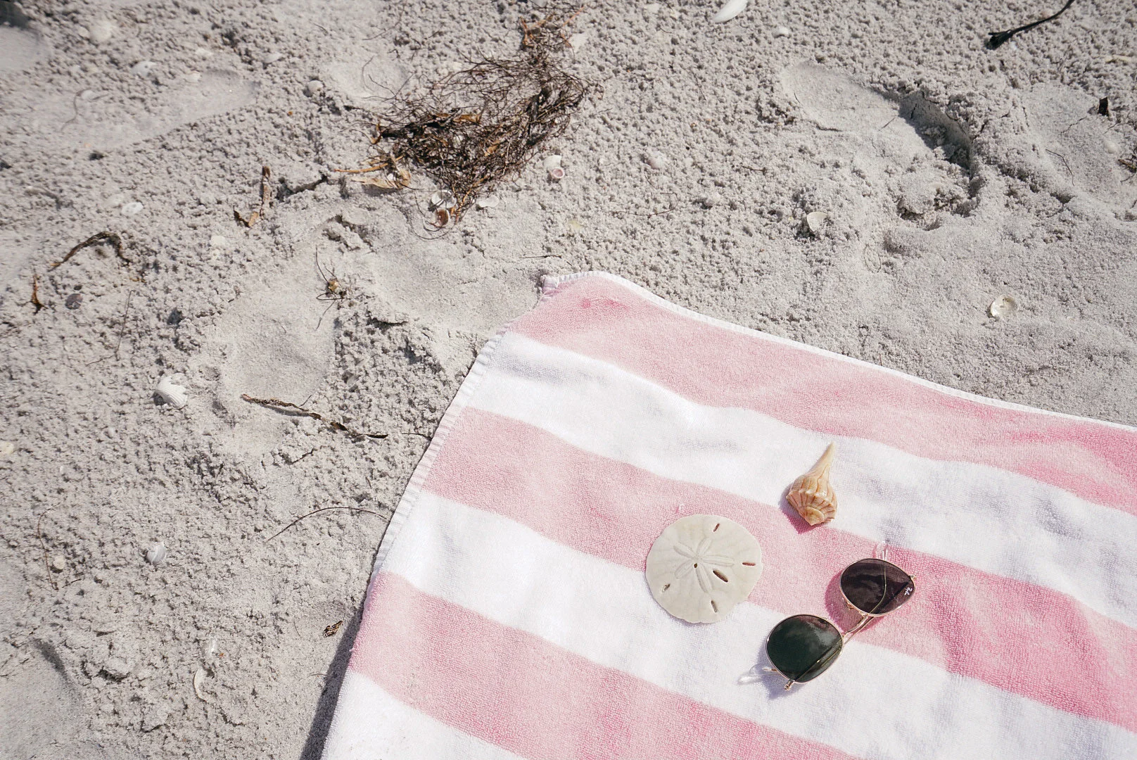 CarleyRuddPhotography_FTMyersSanibel-13.jpg