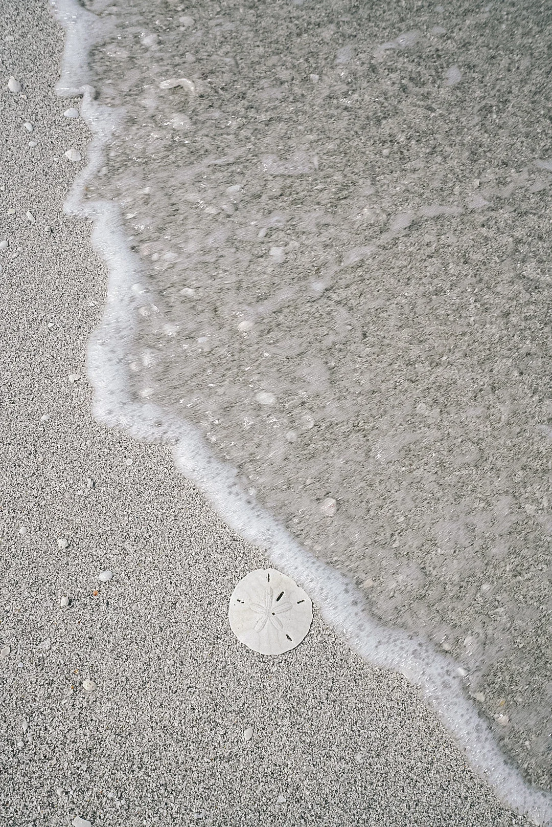 CarleyRuddPhotography_FTMyersSanibel-15.jpg