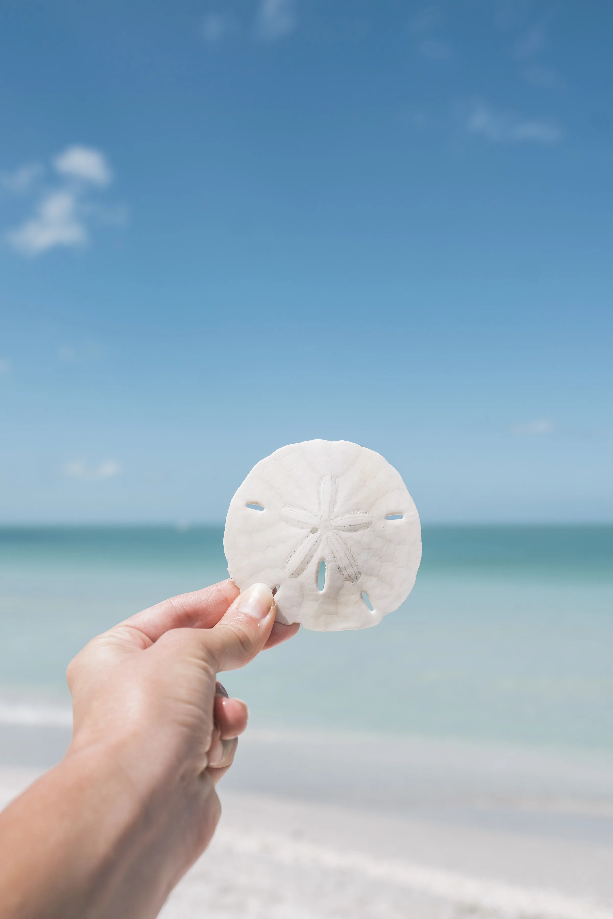CarleyRuddPhotography_FTMyersSanibel-16.jpg