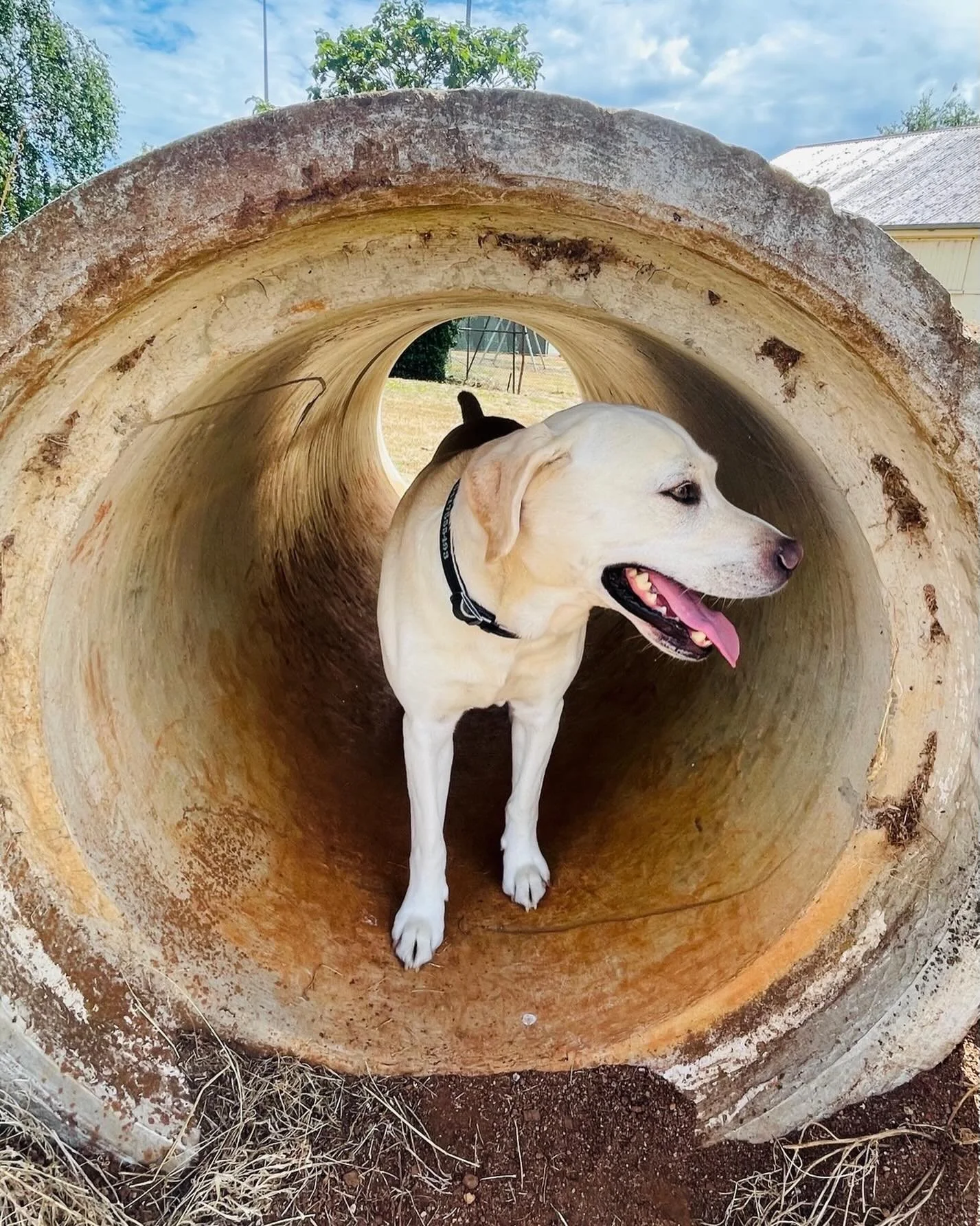 Feeling a little drained?
You need a holiday..