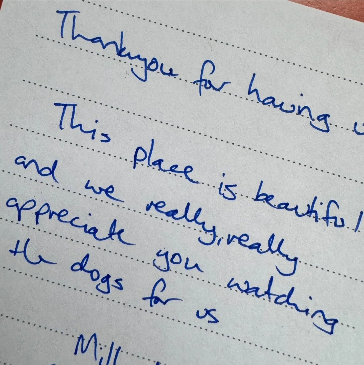 We really do have the best guests💕&hellip; everyone feels at home 🐾 #dogfriendly #cabinlife #dogsofbeechworth #notes #dalmation #dogsonholiday