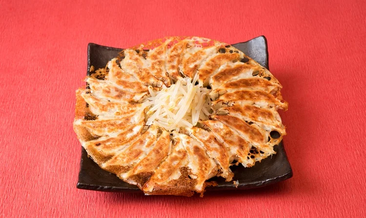 Gyoza serveras alltid med den vackert brynta undersidan uppåt.&nbsp;Foto:&nbsp;ASSOCIATION OF JAPAN HAMAMATSU GYOZA