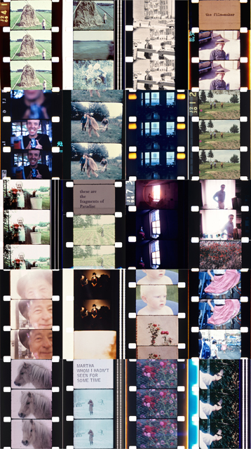 Detail from In an Instant it All Came Back to Me, Jonas Mekas, 2015