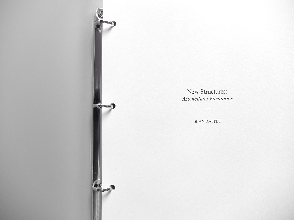 New Structures: Azomethine Variations, Sean Raspet, 2015