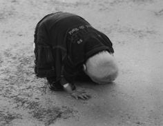 Tom Sandberg, Untitled, 1996