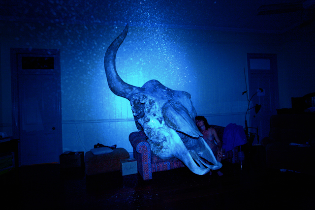 Out of Eden , from Canary series, 2007, Lieko Shiga