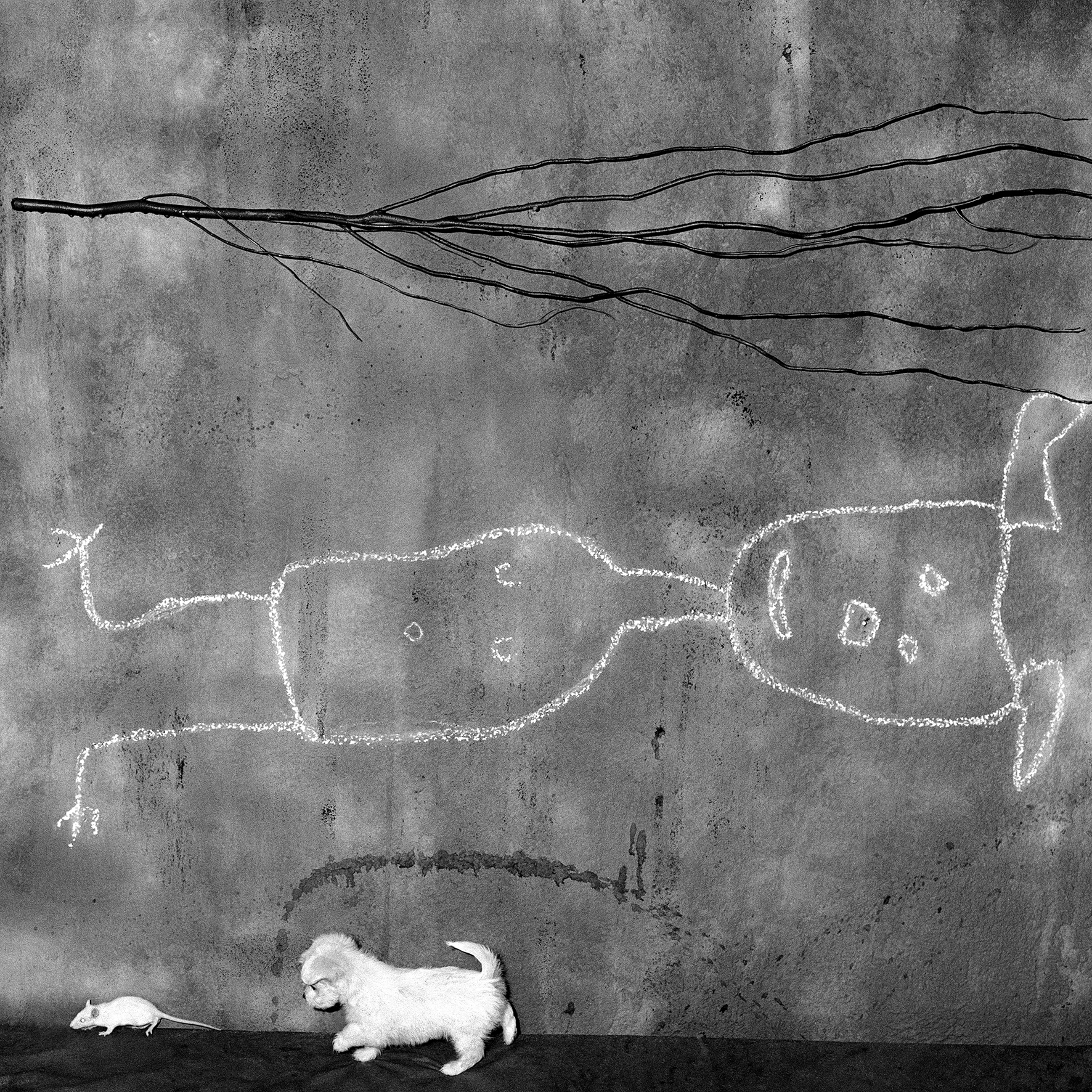 Roger Ballen, Place of the Upside Down , 2004