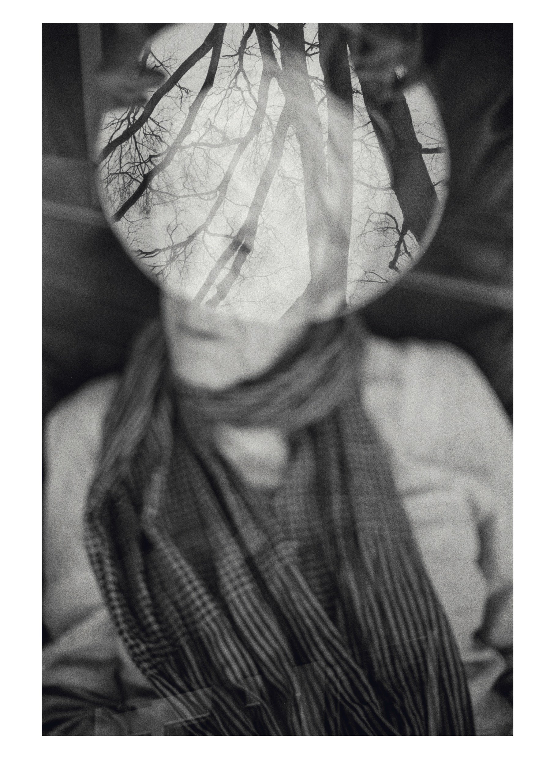Untitled4.jpg
