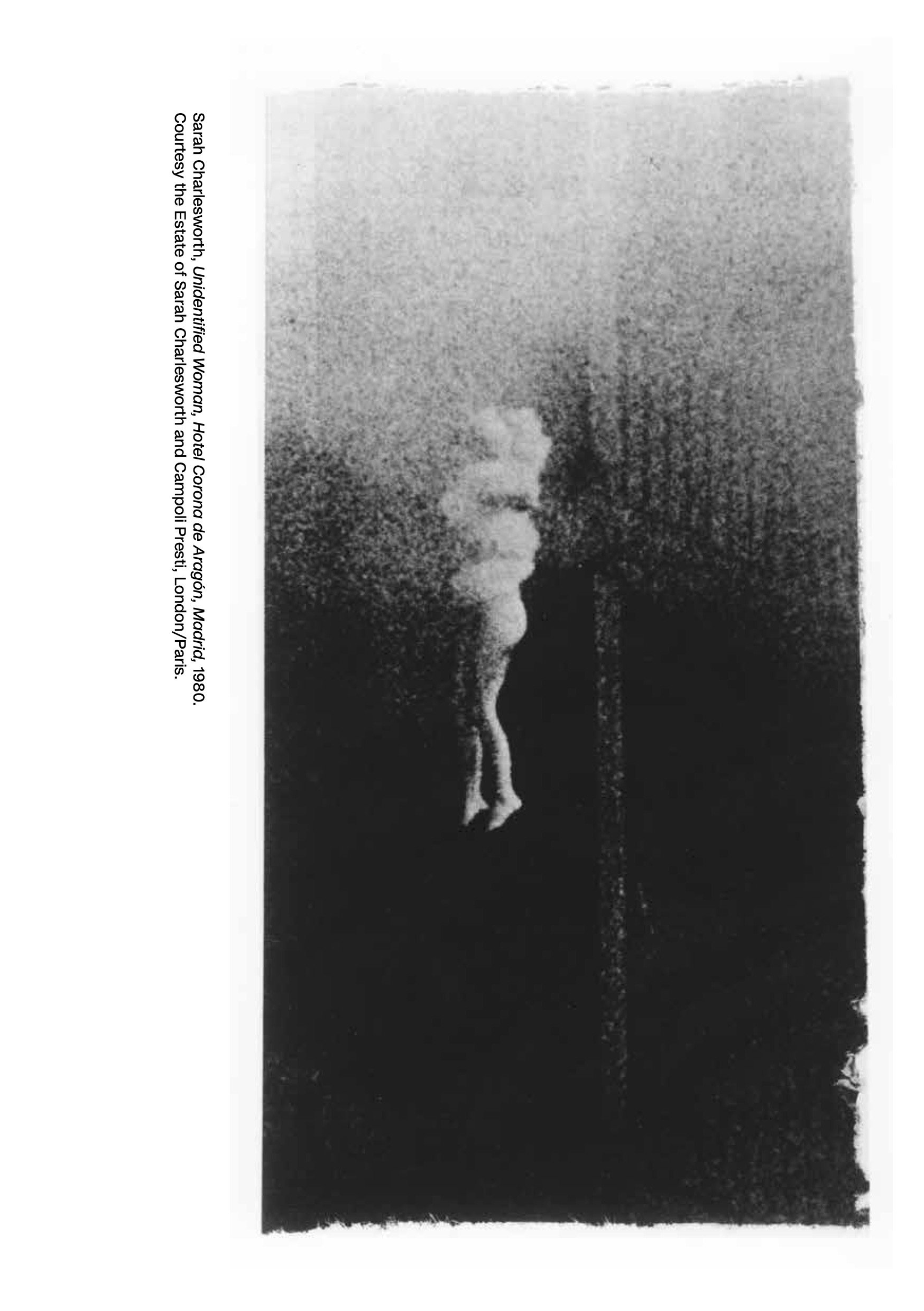 Untitled.jpg