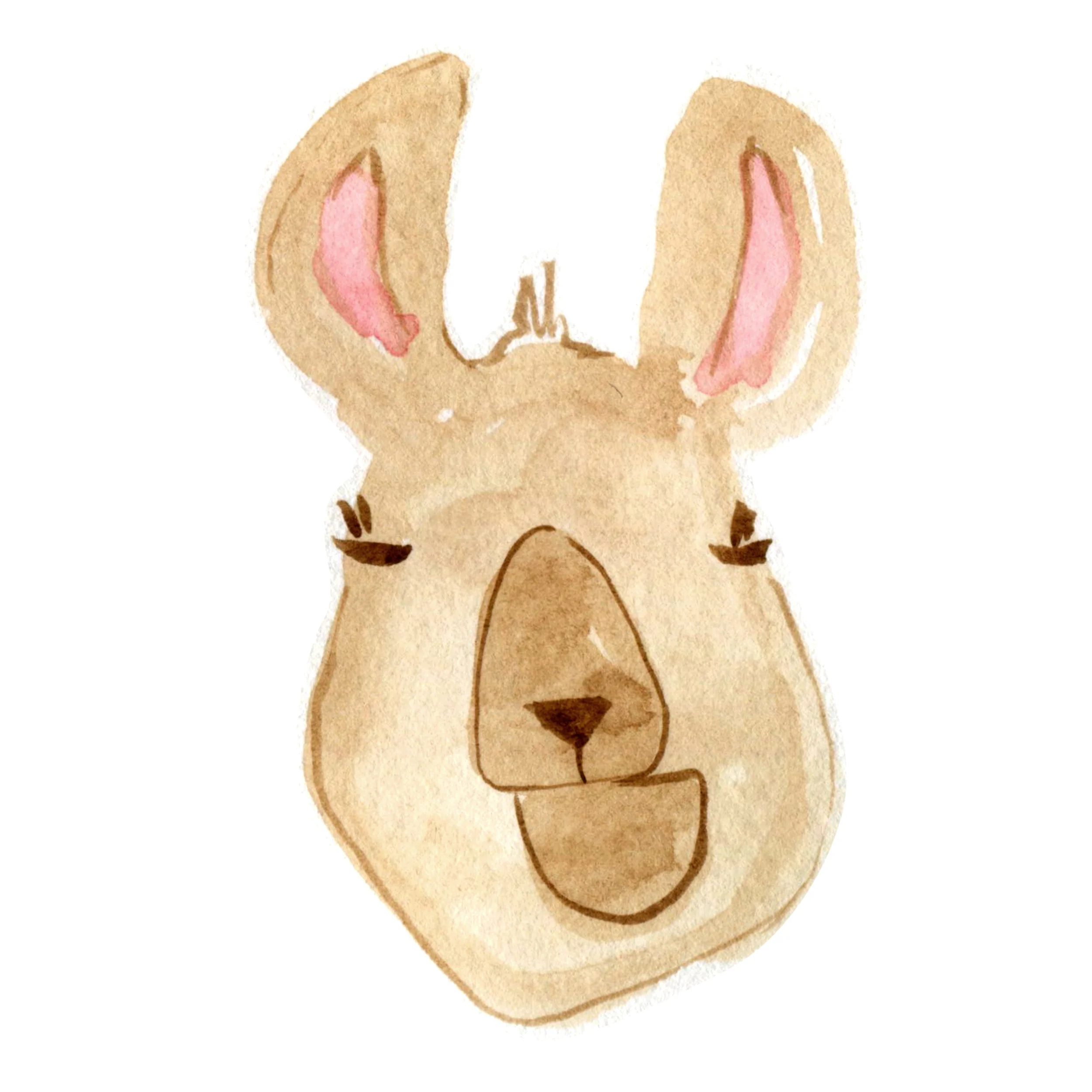 Llama dude.