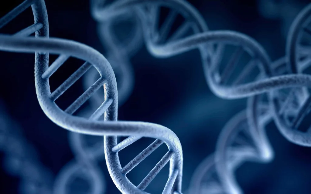 Human-Aminal Chimeras: Kramer’s Pigman Might Be Coming to a Lab Near You