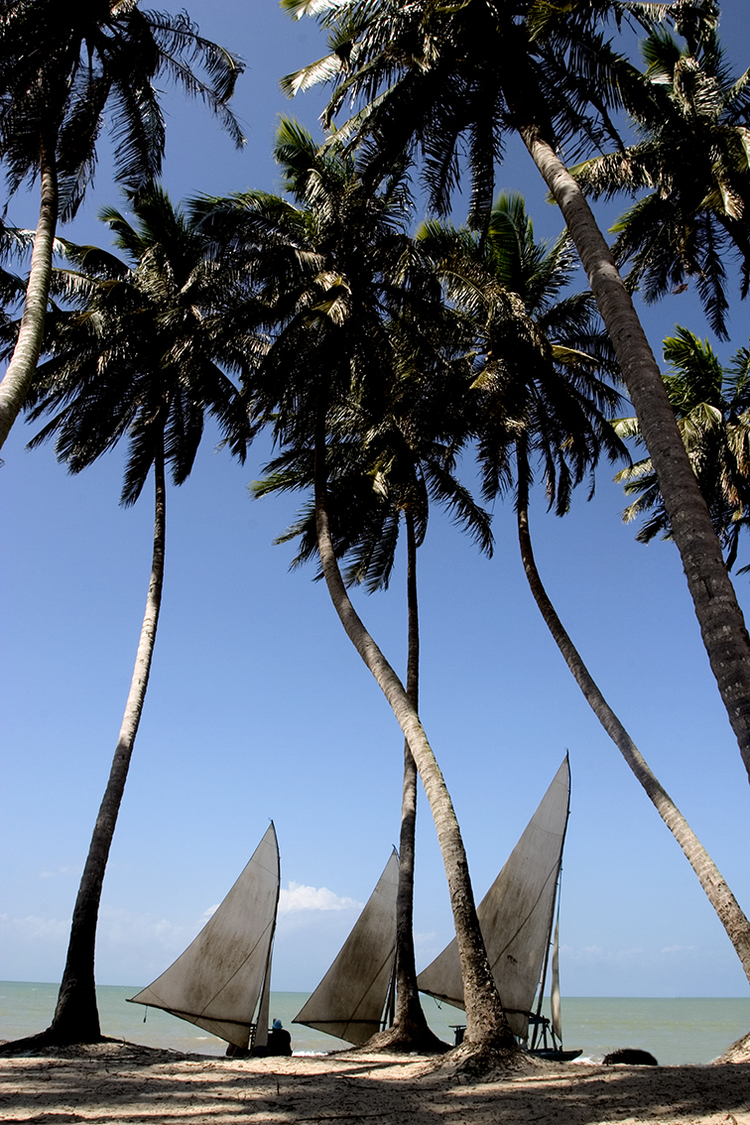 Praia+de+Maracajau.jpg