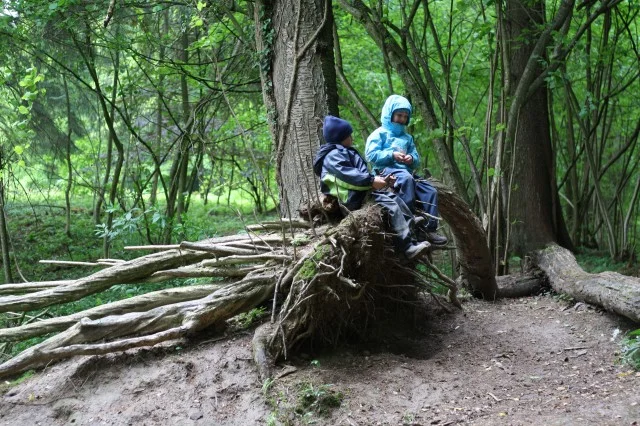 Two-kids-on-tree-640x426.jpg