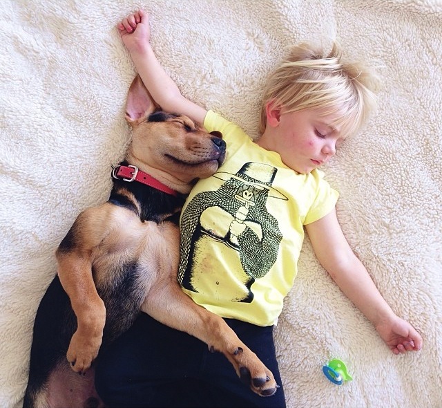 Jessica Shyba‘s photo - from http://www.fubiz.net/wp-content/uploads/2014/02/A-Naptime-Story-with-Dog-and-Baby-3.jpg