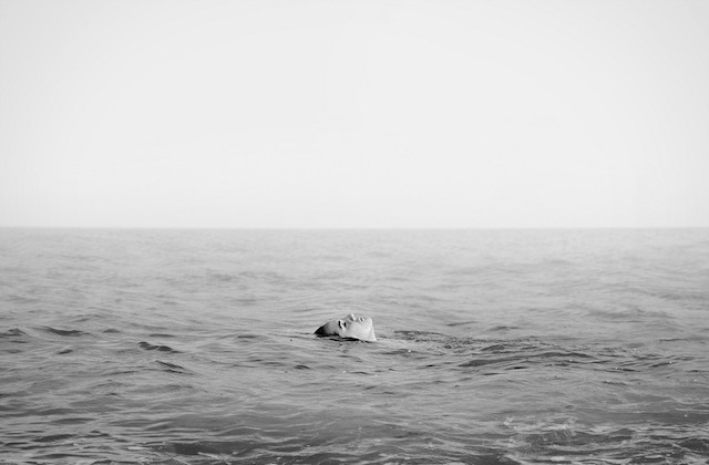 la photographe espagnole Andrea Torres Balaguer ,