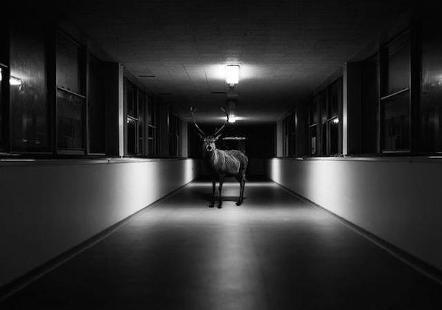 photographer Jason Mc Groarty 's work
